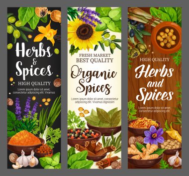 Spices, culinary herbs, cooking herbal seasonings clipart