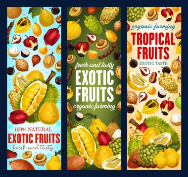 Exotic fruits, organic tropic fruit harvest clipart