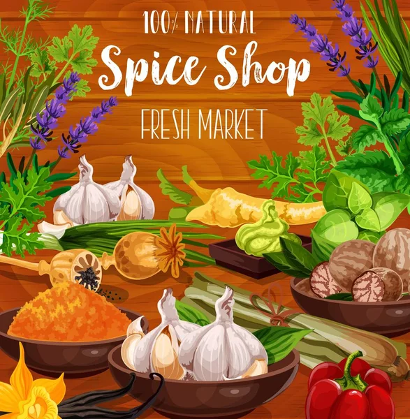 Condiment Herbs Spices Seasonings Vector Spice Shop Poster Culinary Herbal — Stock Vector