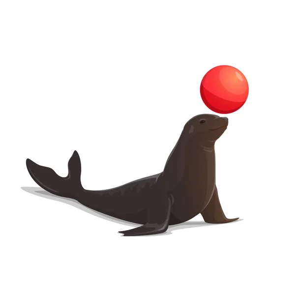 马戏团海豹平衡球和杂耍红色气球 向量查出的大顶部马戏动物表现展示 — 图库矢量图片