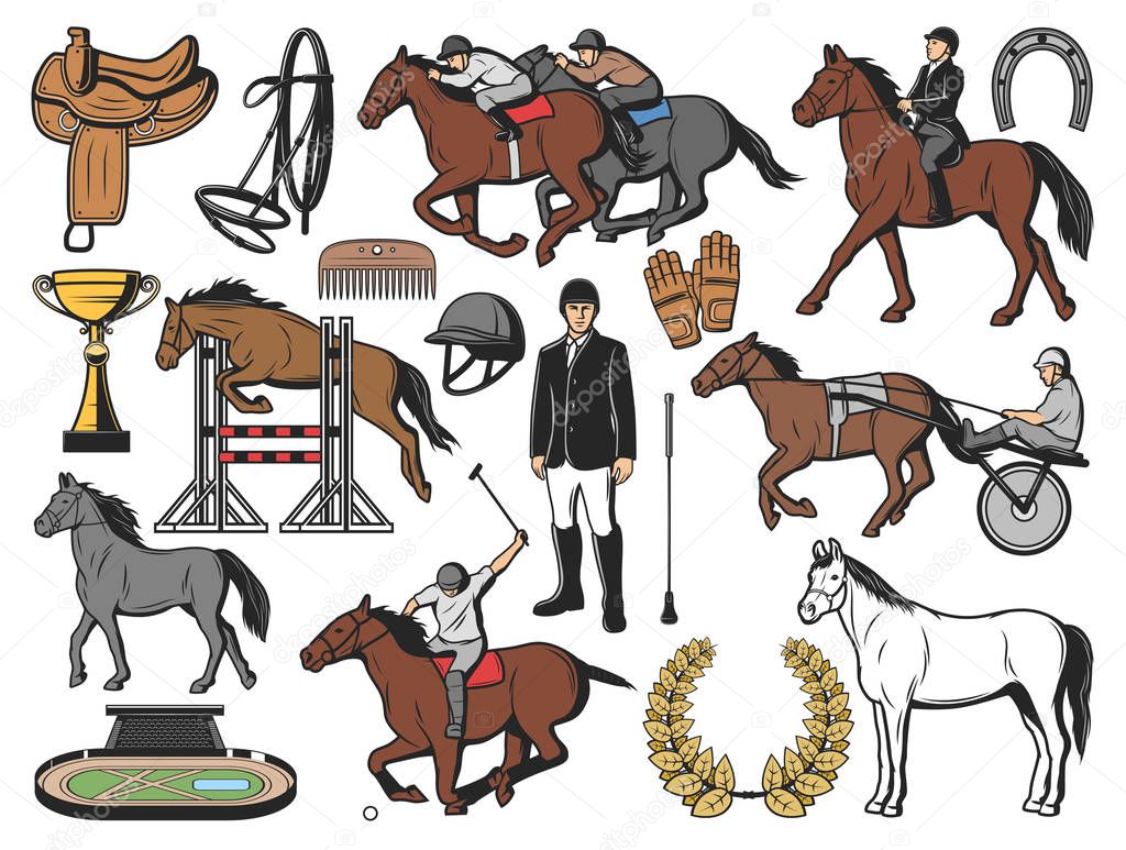 Horse race polo sport and jockey equipment