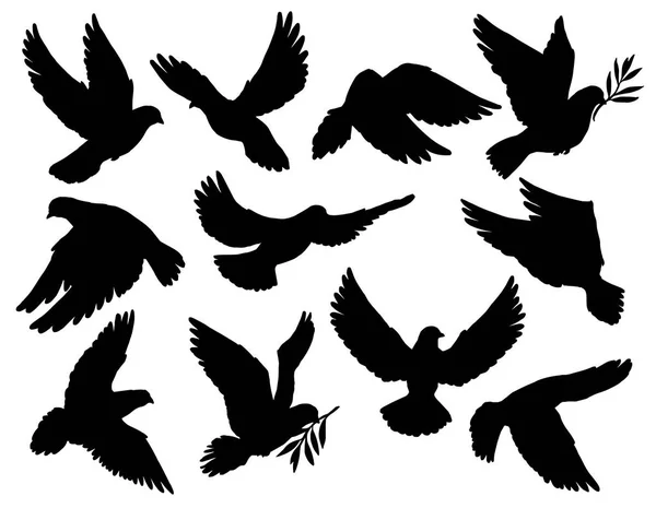 Pigeon or dove birds hold olive branch silhouettes — Stock Vector