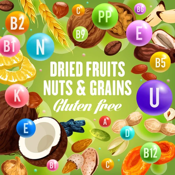 Frutas secas, frutos secos y granos, alimentos sin gluten — Archivo Imágenes Vectoriales