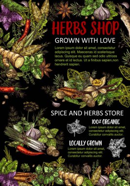 Bal, bitki baharatlar, baharat. Vektör