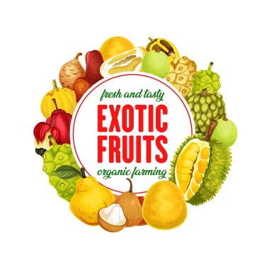 Egzotik meyve izole vektör afiş