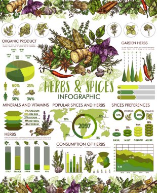 Baharat, otlar ve baharatlar Infographic