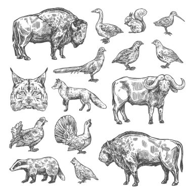 Isolated wild animals and birds, vector clipart