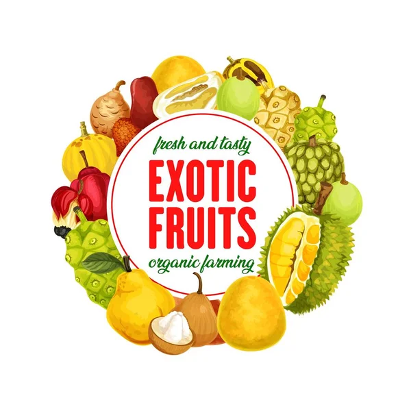 Exotic fruits isolated vector banner — Stock Vector