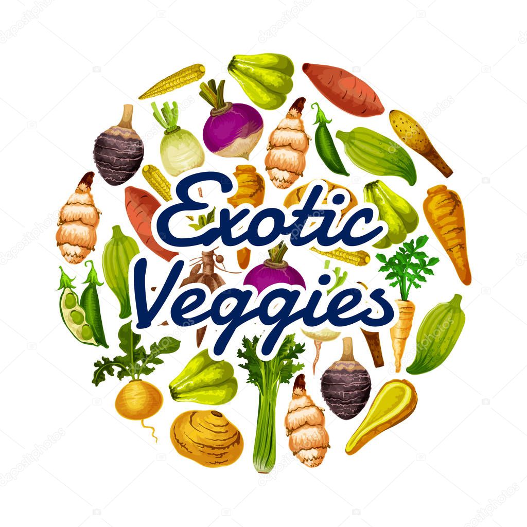 Exotic veggies icon, healthy food. Vector peas and chayote, horseraddish and beet, celery and turnip, parsnip and swede, mini corn and rutabaga, cassava and arracacia, caigua and jicama with yam