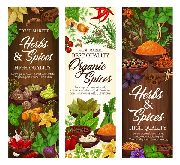Ervas orgânicas e condimentos naturais de especiarias agrícolas —  Vetores de Stock