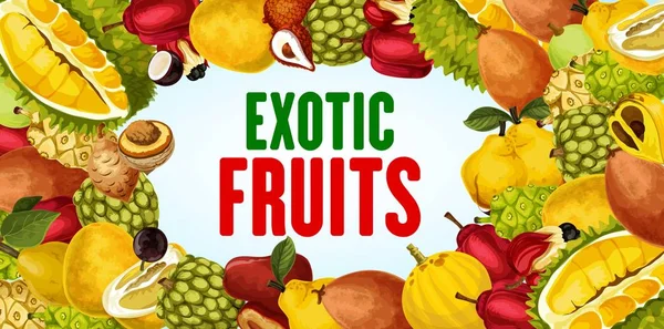 Egzotikus gyümölcsök és trópusi berry keretű transzparens — Stock Vector