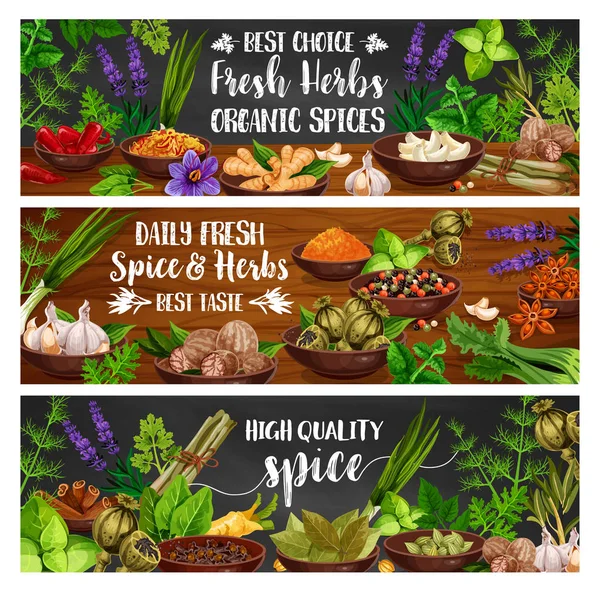 Épices, herbes culinaires et assaisonnements aux légumes — Image vectorielle