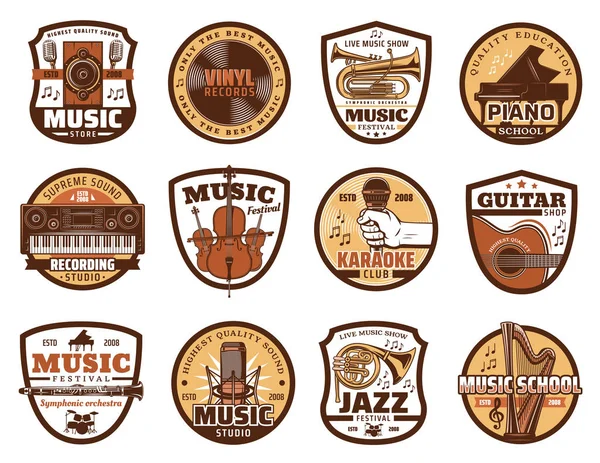 Icone musicali di microfono e strumenti musicali — Vettoriale Stock