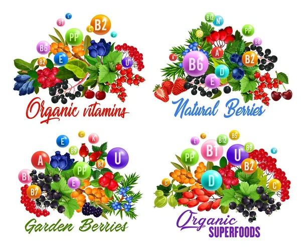 Vitaminas e benefícios para a saúde de bagas e frutas —  Vetores de Stock