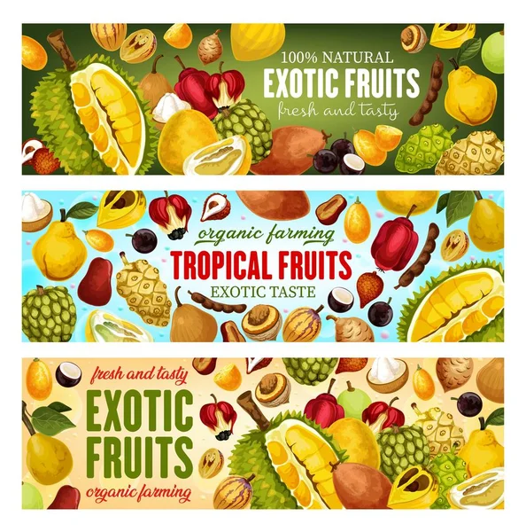 Egzotikus gyümölcsök és bogyók. Trópusi étel, ital — Stock Vector