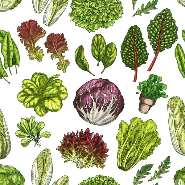 Feuilles de salade et herbes fond de motif sans couture — Image vectorielle