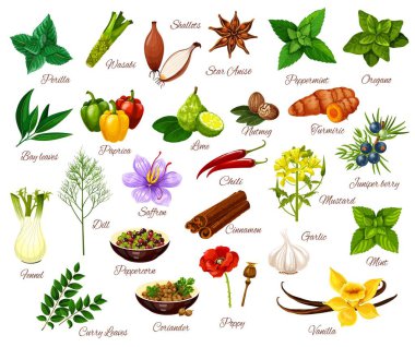 Baharat, mutfak otlar baharat ve sebze