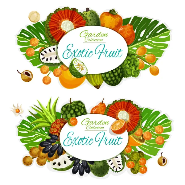 Egzotikus gyümölcsök és trópusi bogyók. Ételek és italok — Stock Vector