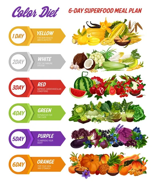 Colore dieta verdure, frutta, spezie ed erbe — Vettoriale Stock