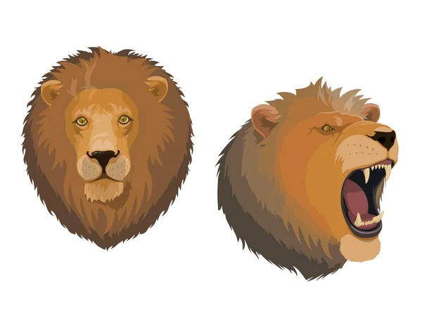 Lion animal head of angry roaring leo face — Stock Vector