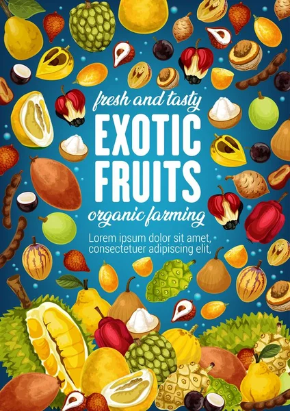 Exotikus tropikus gyümölcs, trópusi mezőgazdasági piaci poszter — Stock Vector