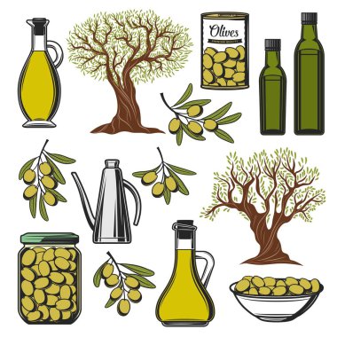 Zeytinyağı ve sebze ürün simgeleri