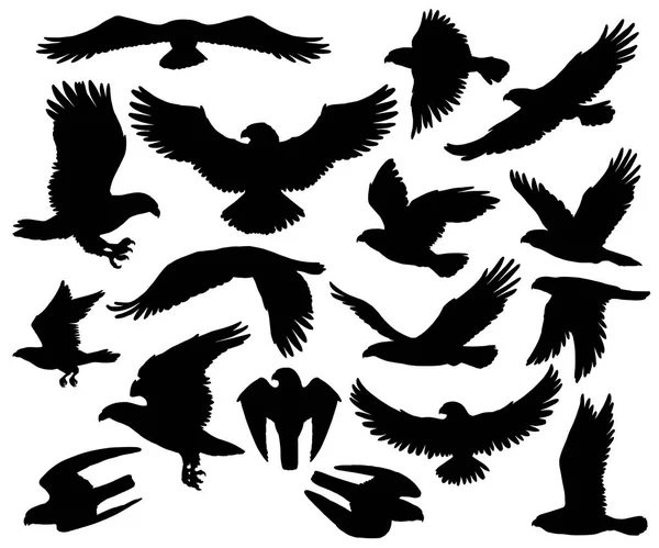 Aguila depredadora o halcón halcón aves siluetas — Vector de stock