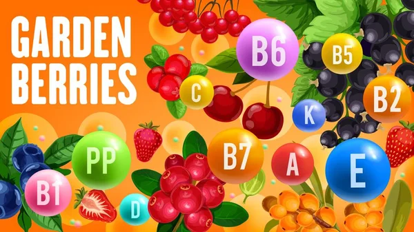 Egészséges vitaminok organikus kerti bogyós gyümölcsök — Stock Vector
