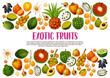 Egzotik meyveler, tropikal tarım tarım hasat