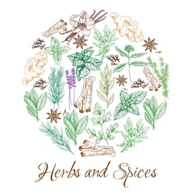 Otlar ve doğal baharatlar kroki çeşniler