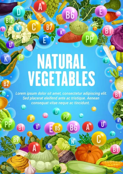 Vitaminas saludables en verduras vegetarianas orgánicas — Vector de stock