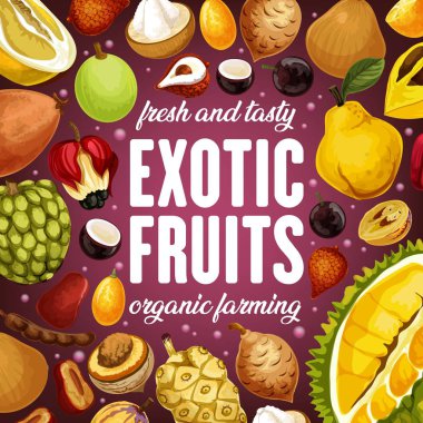 Egzotik meyveler Durian, lichee ve Pomelo narenciye