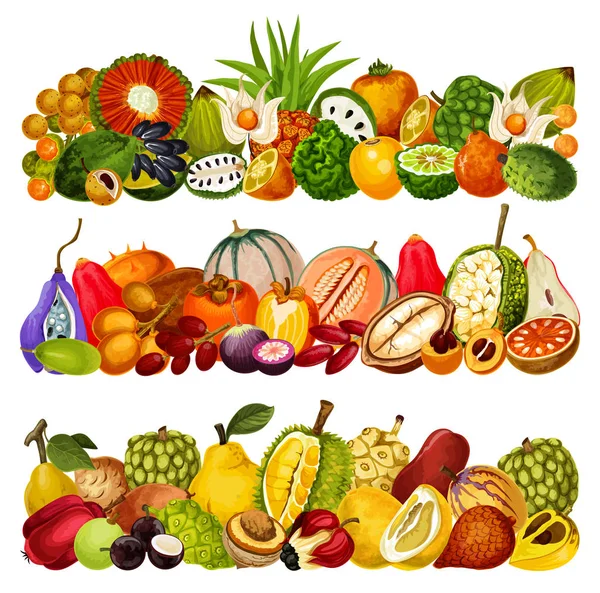 Exotic tropical fruits, farm agriculture harvest — Stock Vector