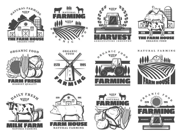 Farm dairy and cattle products, farming icons — Stock Vector