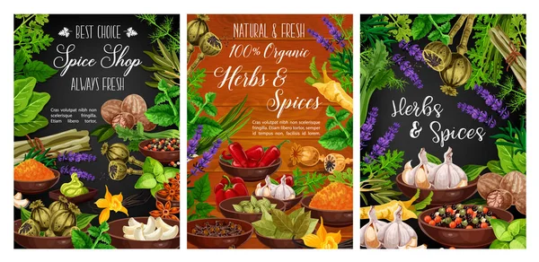 Ervas aromáticas e especiarias, loja de especiarias de cozinha orgânica —  Vetores de Stock