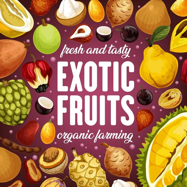 Egzotyczne owoce Durian, lichele i pomelo Citrus — Wektor stockowy