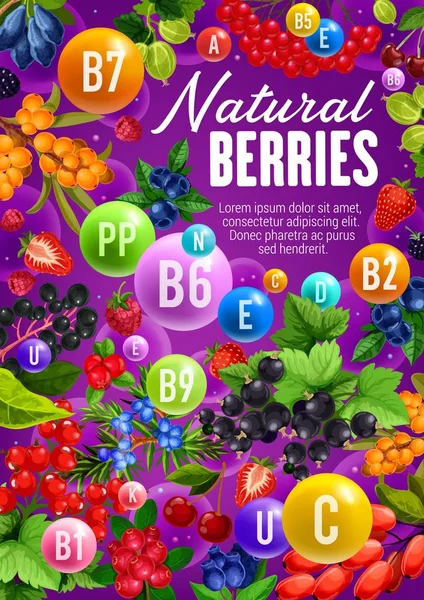 Φρούτα Berry, οργανικές βιταμίνες σε φυσικό φαγητό — Διανυσματικό Αρχείο