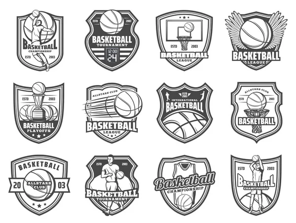 Baloncesto deporte pelota y escudo de jugador insignias — Archivo Imágenes Vectoriales