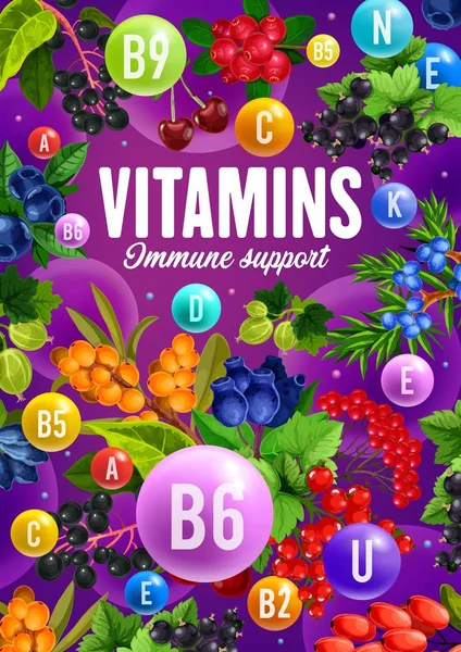 Vitamines dans les canneberges fraîches, cerises — Image vectorielle