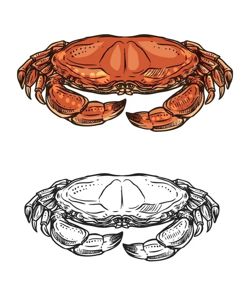 Crab, sea animal and ocean shellfish. Seafood — Stock Vector