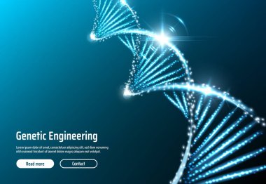 DNA yapısı, genetik mühendisliği Web uygulaması, vektör