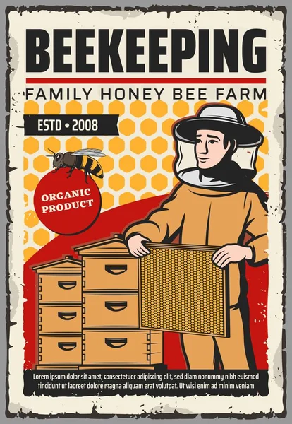 Bal arı, honeycombs, arı kovanı ile arıcı — Stok Vektör