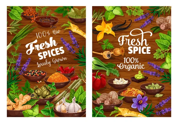 香料、绿色香草、蔬菜和调味料 — 图库矢量图片