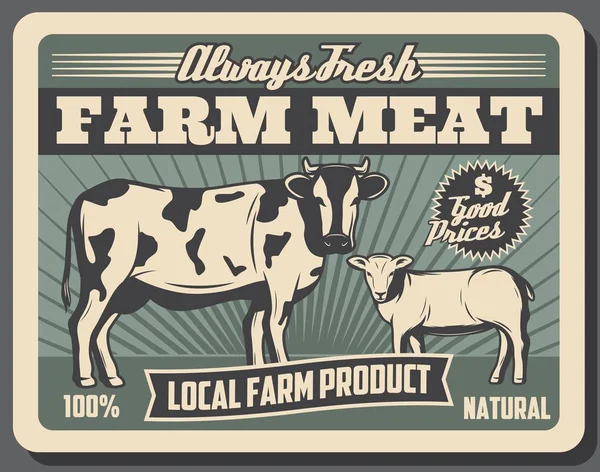 Fleischfarm mit Kuh- und Schafen — Stockvektor