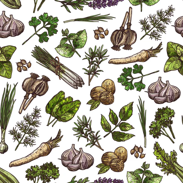 Green herbs, spices, vegetable seasonings pattern — Stock Vector