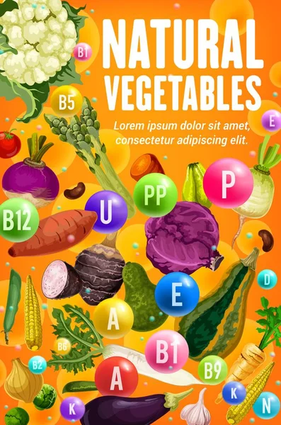 Vitaminas en tomate, frijol, zanahoria, verduras de maíz — Archivo Imágenes Vectoriales