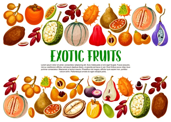 Frutas e bagas exóticas. Alimentos tropicais — Vetor de Stock