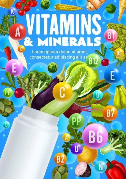 野菜、ビタミン、ミネラルペットボトル — ストックベクタ