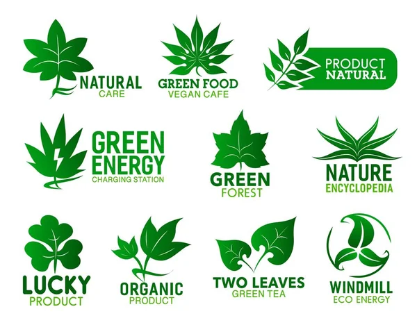 Hojas verdes de plantas ecológicas, medio ambiente ecológico — Vector de stock