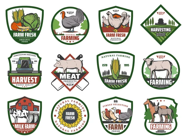 农场蔬菜，动物和鸟类，谷仓，拖拉机 — 图库矢量图片